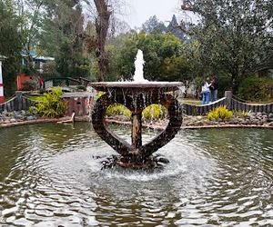 LADY HYDARI PARK: SHILLONG'S GARDEN OF TWO NAMES
